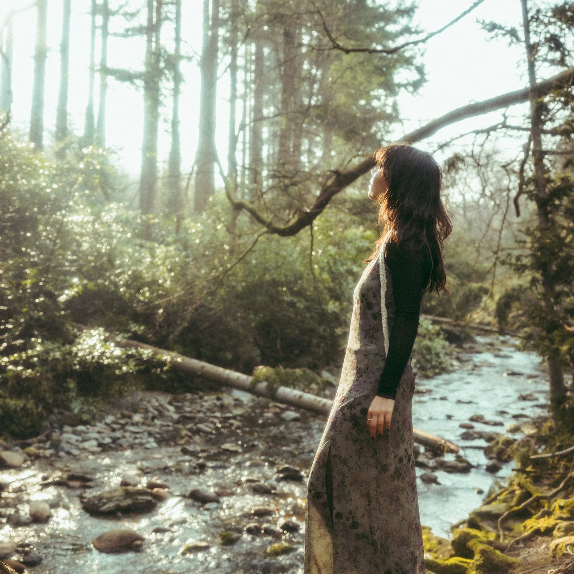 DIMILA – “Fairies"