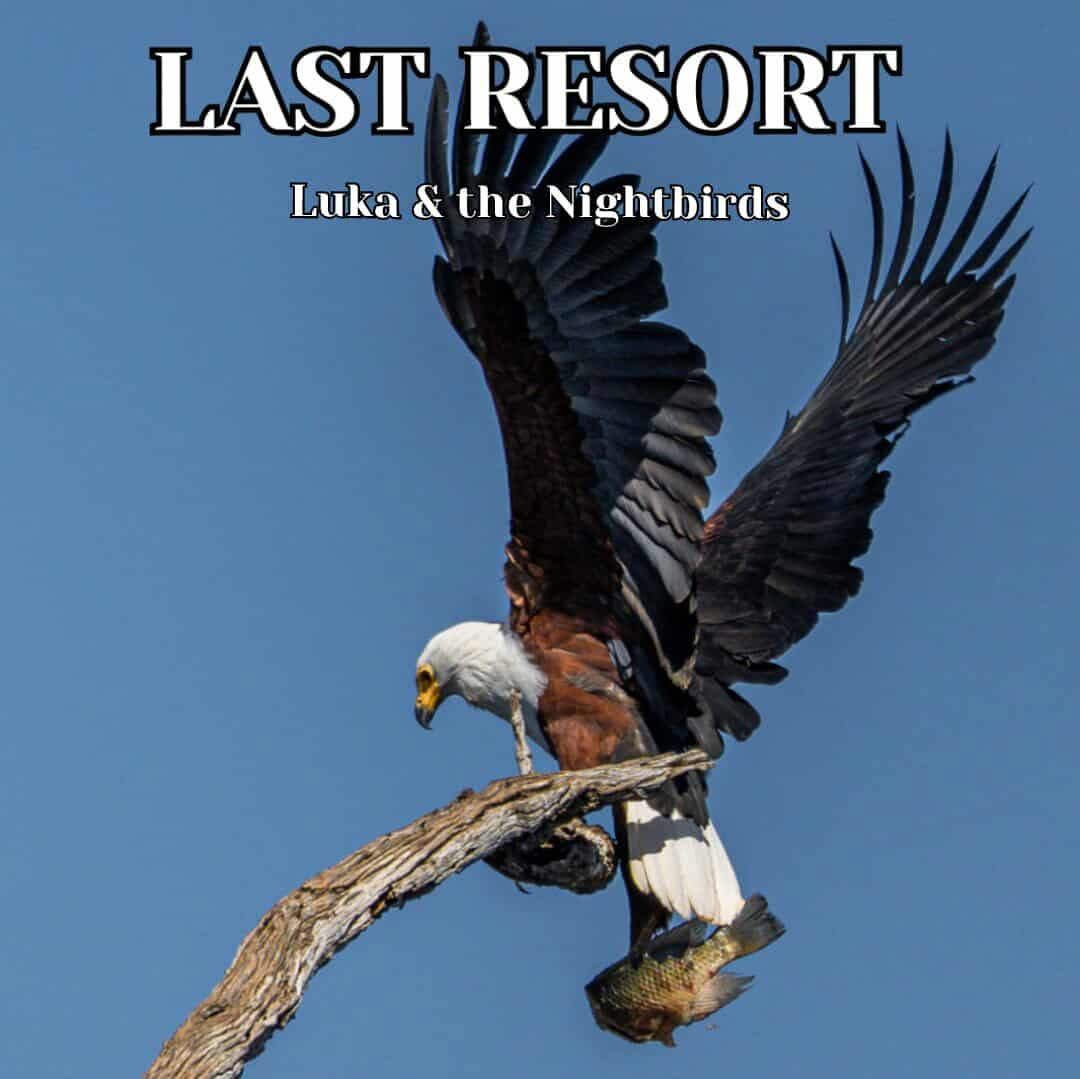 Luka & the Nightbirds - "Last Resort"