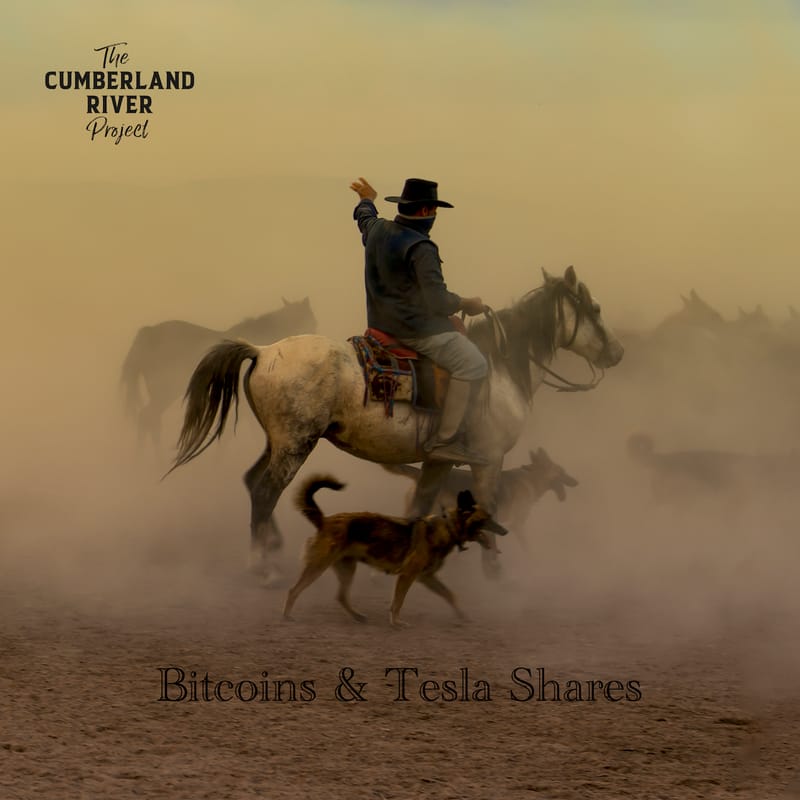 The Cumberland River Project - "Bitcoins & Tesla Shares"