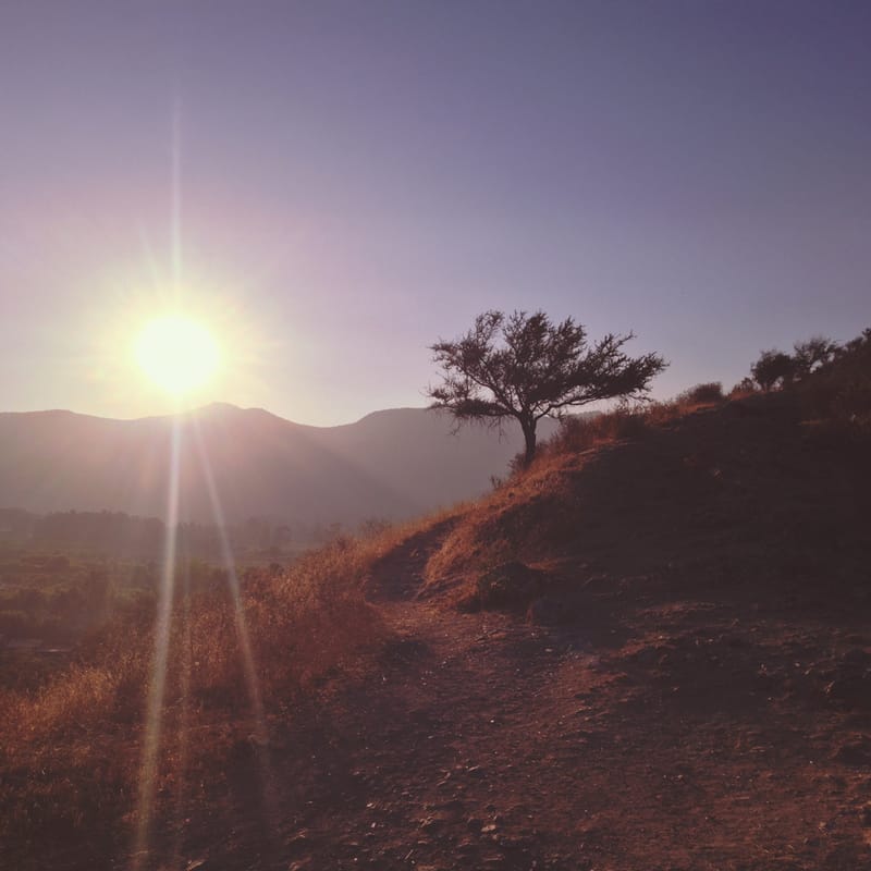 Nick Byrne y Tom Symmonds – "Solstice Sun"