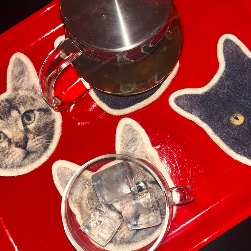 Senior Dunce - "Bestial"