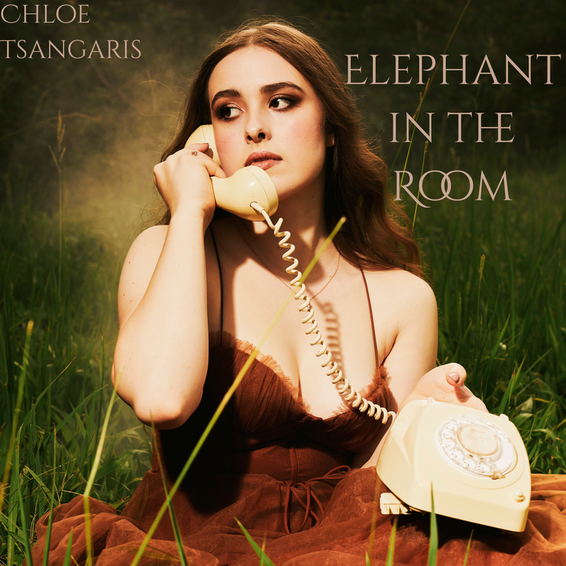 Chloe Tsangaris - "Elephant in the Room"