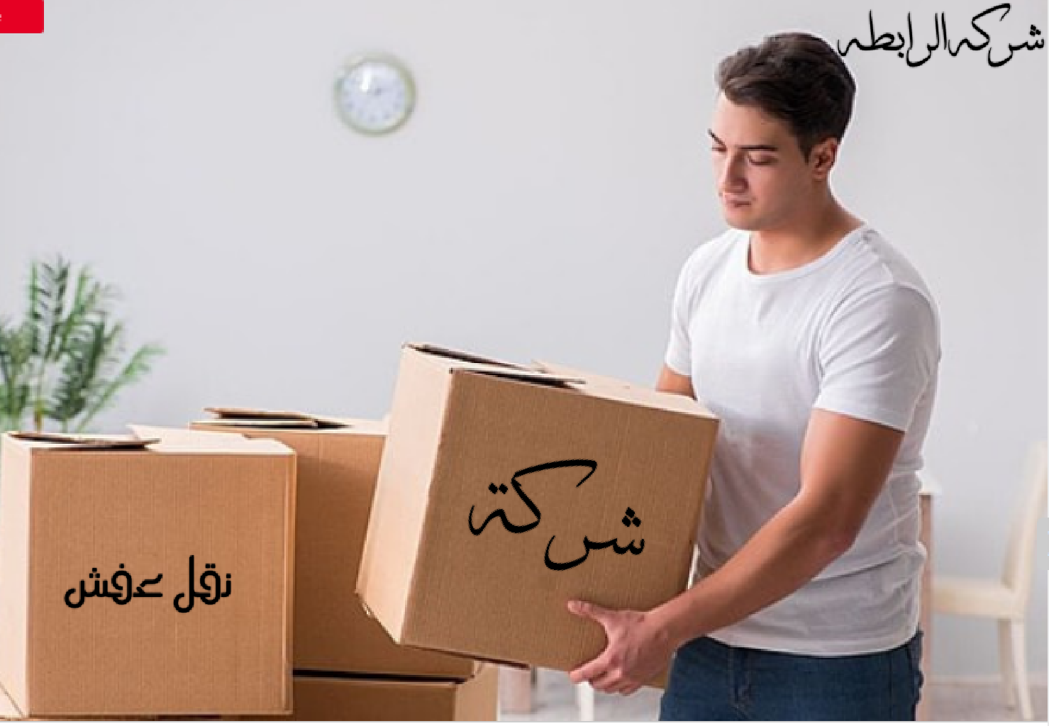 شركة نقل عفش