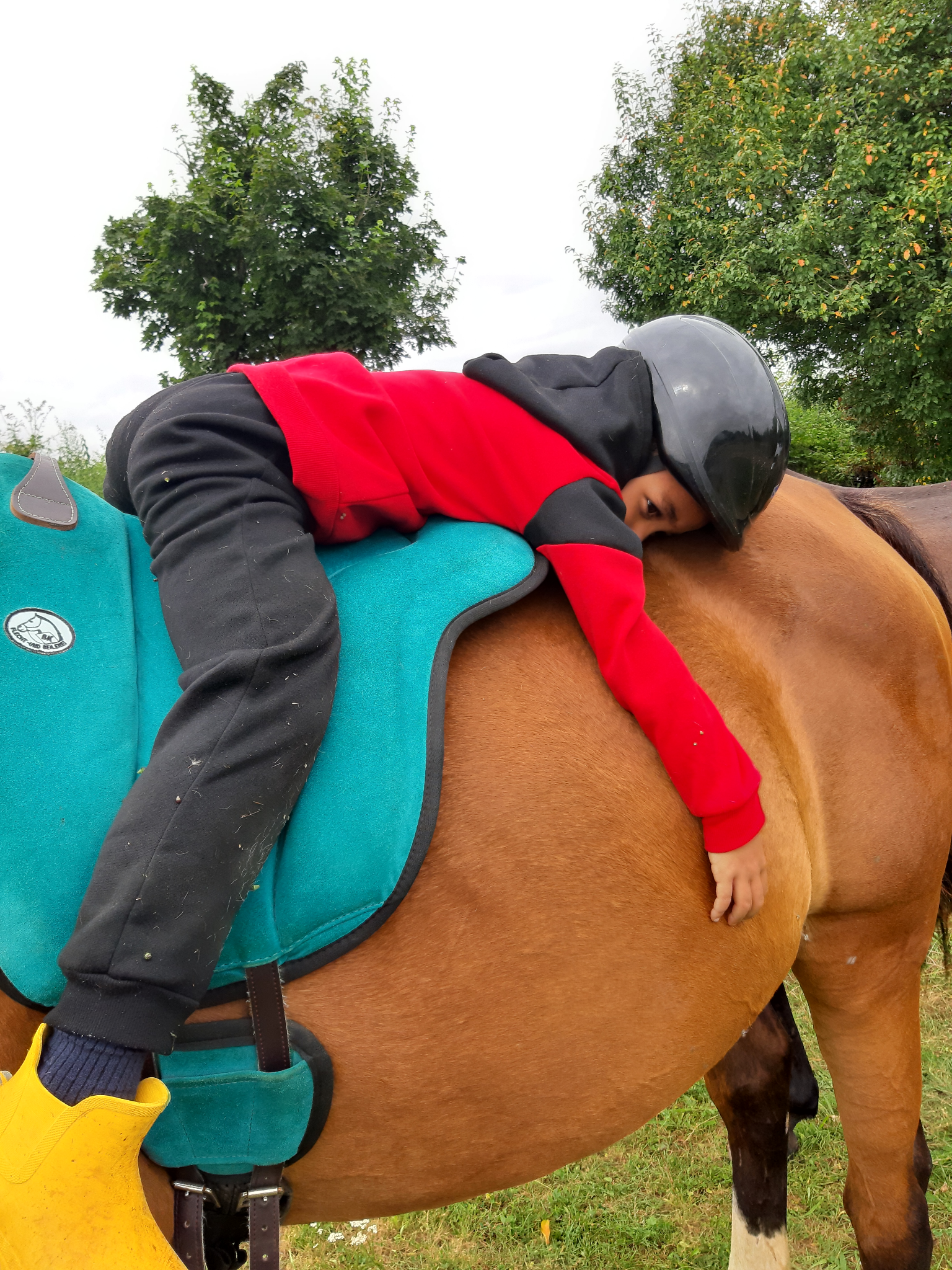 Une  approche  complémentaire  dans  le  trouble  de  stress post-traumatique  chez  l’enfant  :  la  médiation  équine  thérapeutique