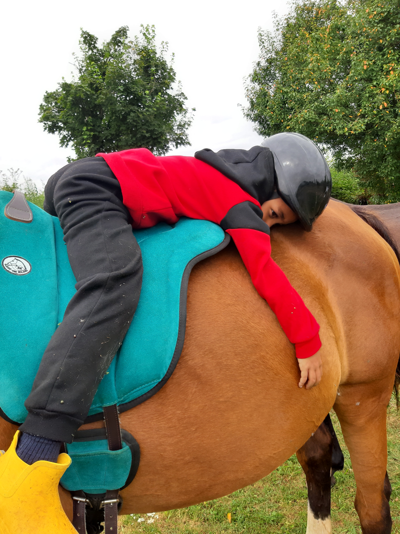 Une  approche  complémentaire  dans  le  trouble  de  stress post-traumatique  chez  l’enfant  :  la  médiation  équine  thérapeutique