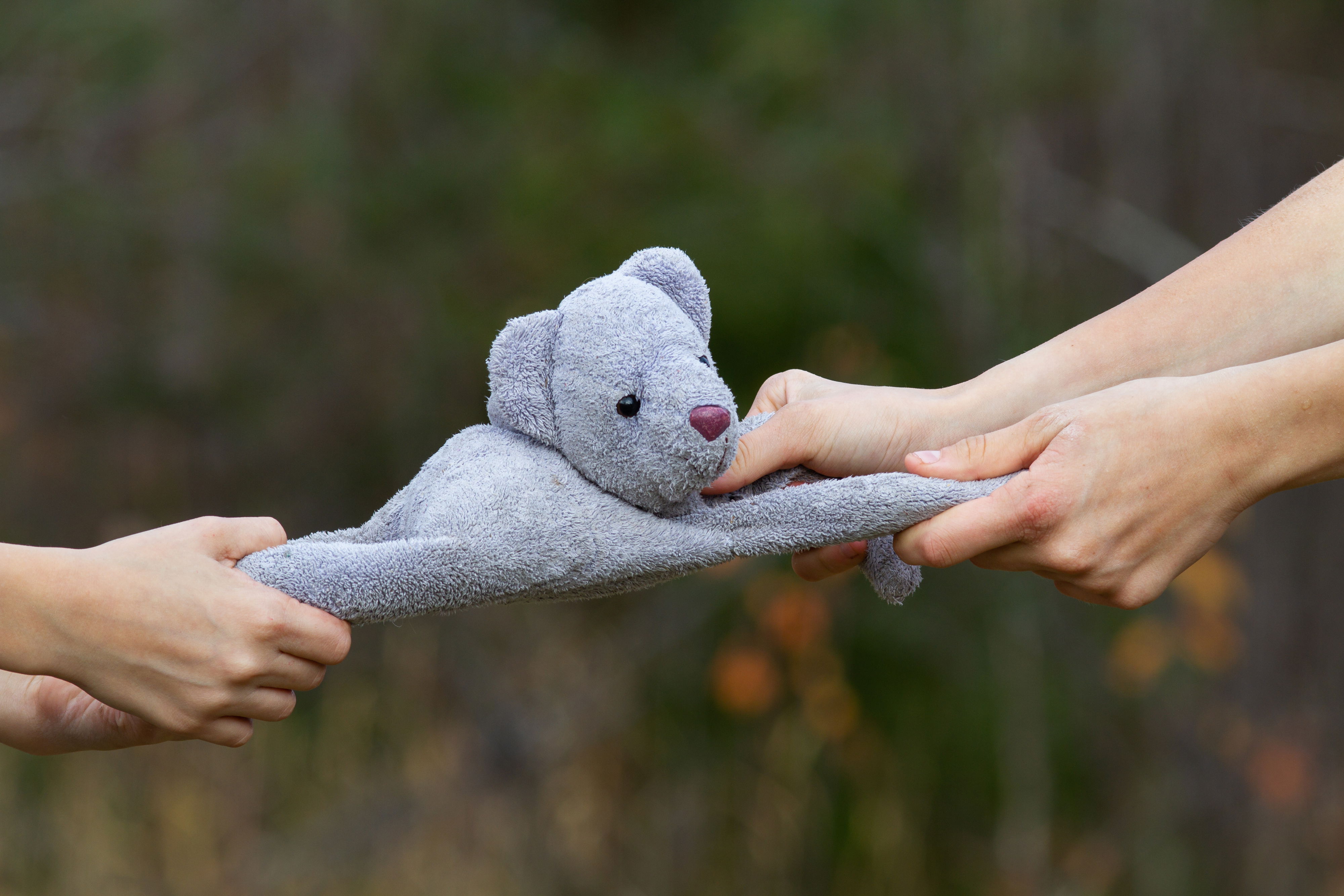 gyermeknevelés-nevelési tanácsadás-testvérféltékenység-pszichológus-online