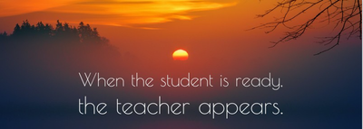 Trance 1-1 Mentorships