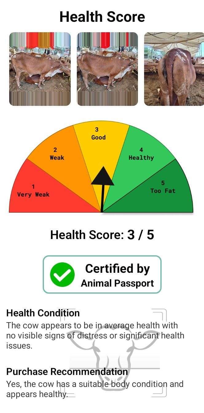 AI-Based Livestock Health Scoring