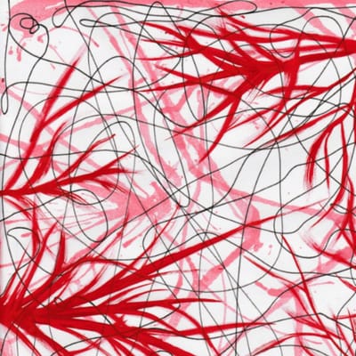 Avaliações de Útero na Amazon