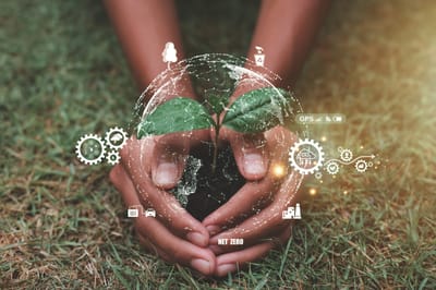 The Art of Scaling: Strategies for Sustainable Business Growth