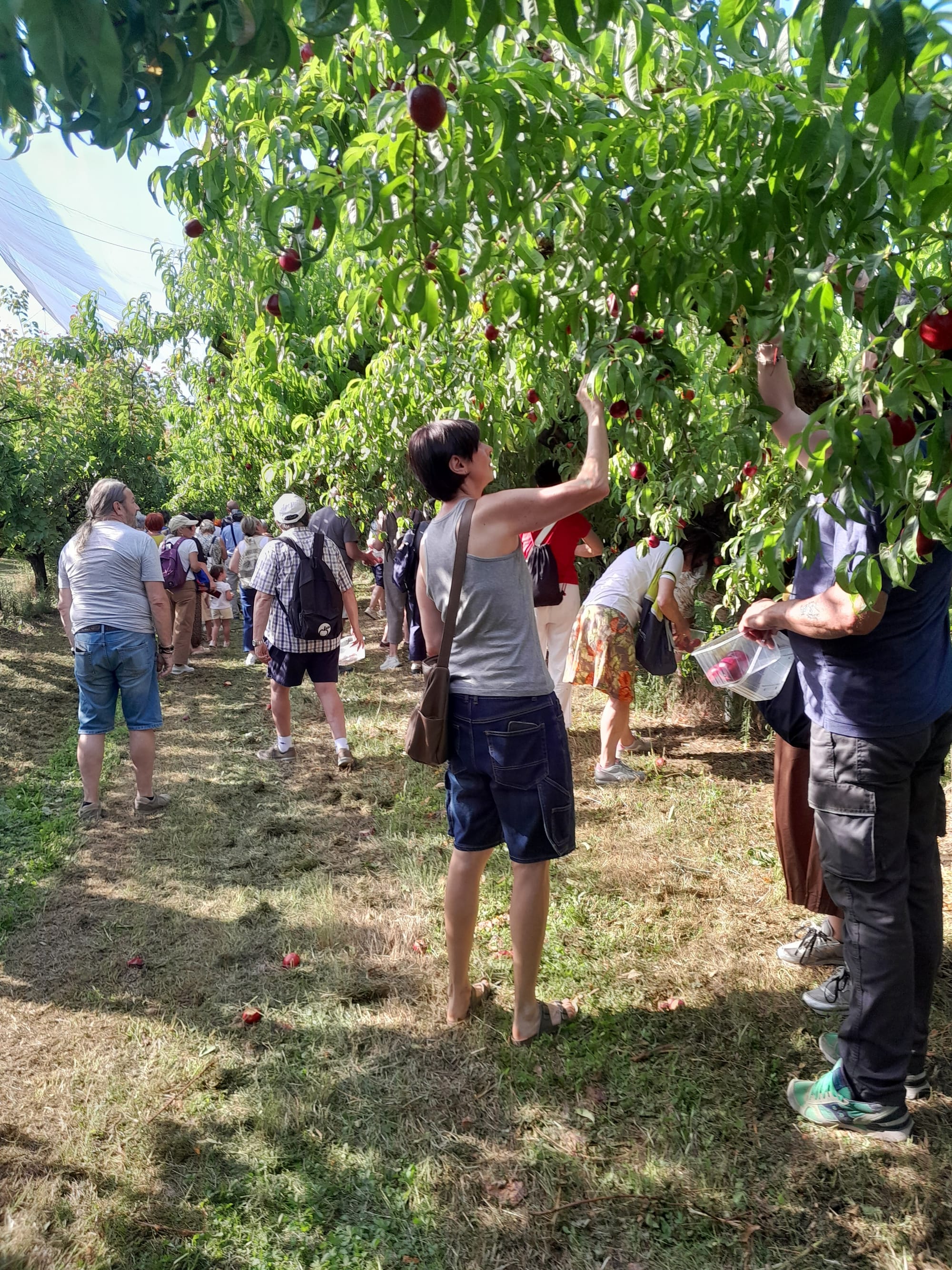 VISITA CAPRALBA 18 GIUGNO 2026