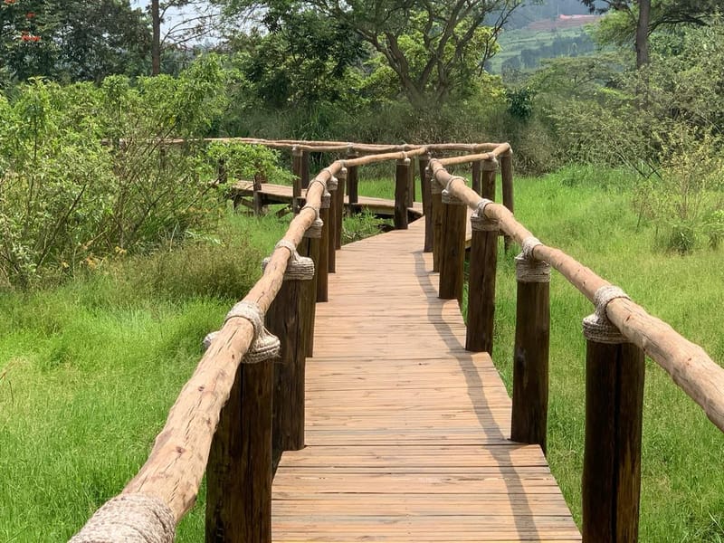 Umusambi Trail: Nature Walk in a Birding Paradise