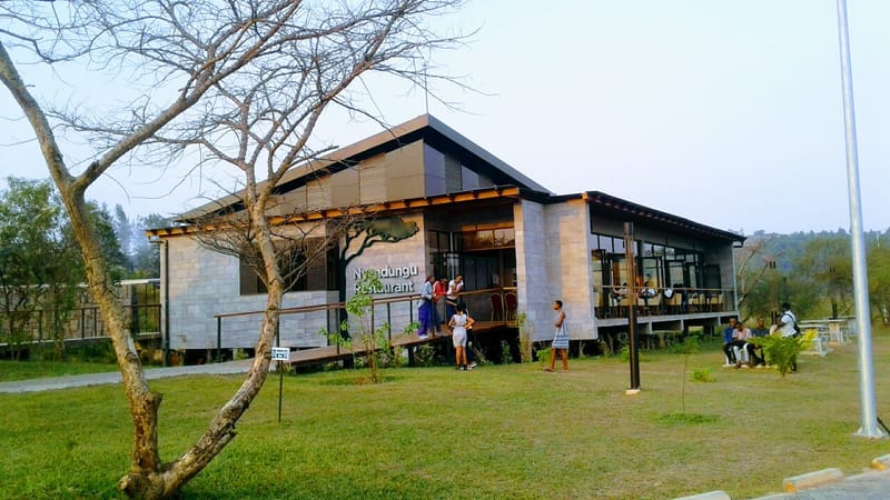 Coffee, Birds, and Burbles