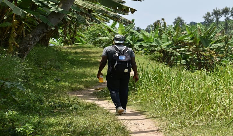 Congo Nile Trail: From Nyamyumba to Cyimbiri