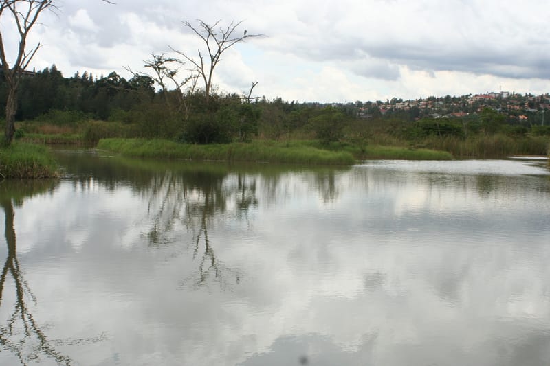 Nyandungu Series Finale