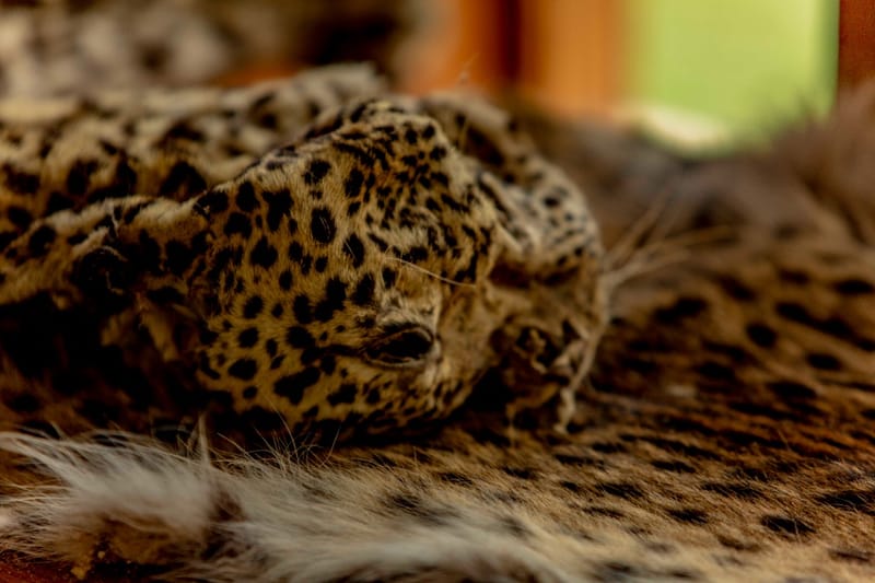 It Finally Makes Sense to Protect Natural Resources as Opposed to Depleting Them