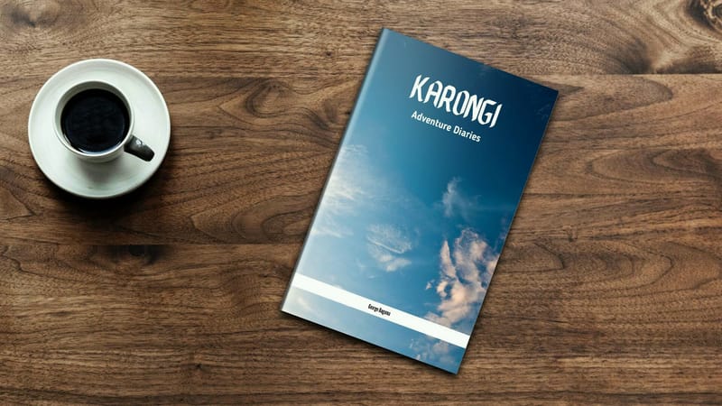 Reading and Roaming: A Literary Journey Through Karongi