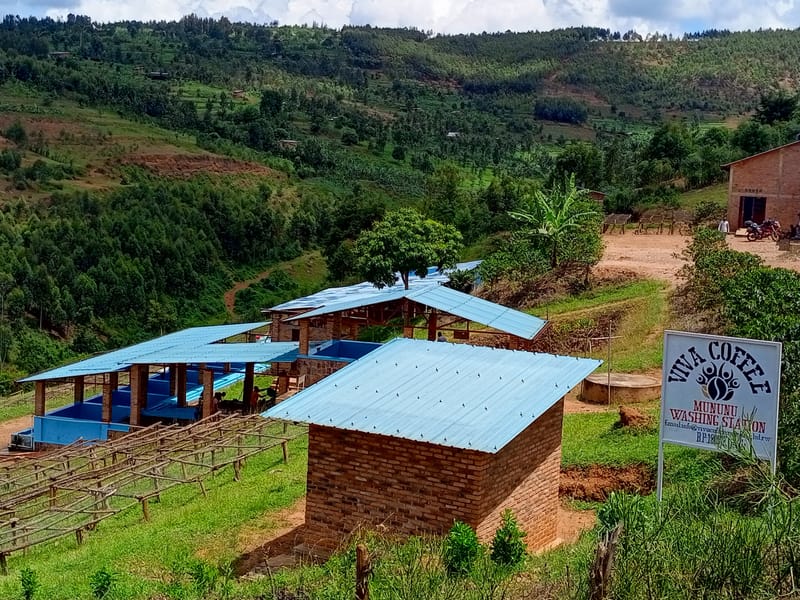 From the Muhazi Belt to the World: My Coffee Odyssey