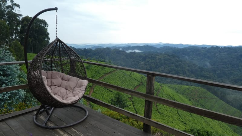 Green State of Mind: Reconnecting with Nature at Nyungwe Nziza Ecolodge
