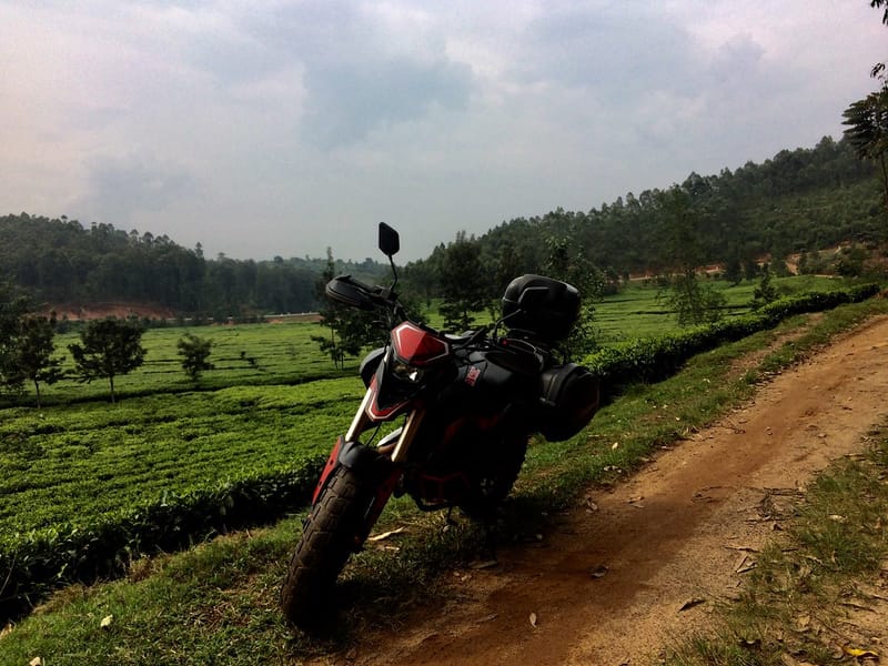 Nyungwe to Huye via the Road Less Traveled