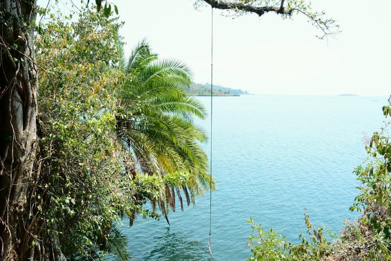 Beyond Serenity: The Wild Side of Kumbya Retreat Center