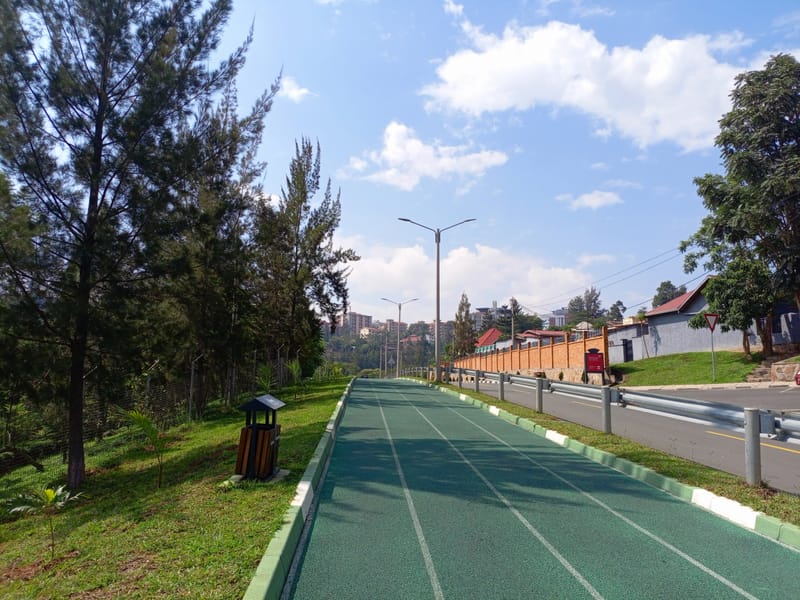 The Track That Unleashed the Runner in Me