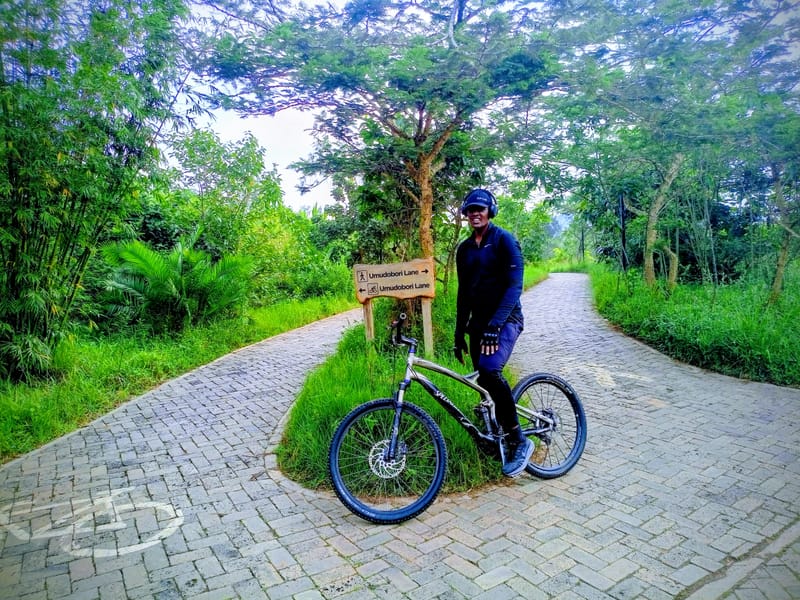 Pedals, Pace, and Green Gold