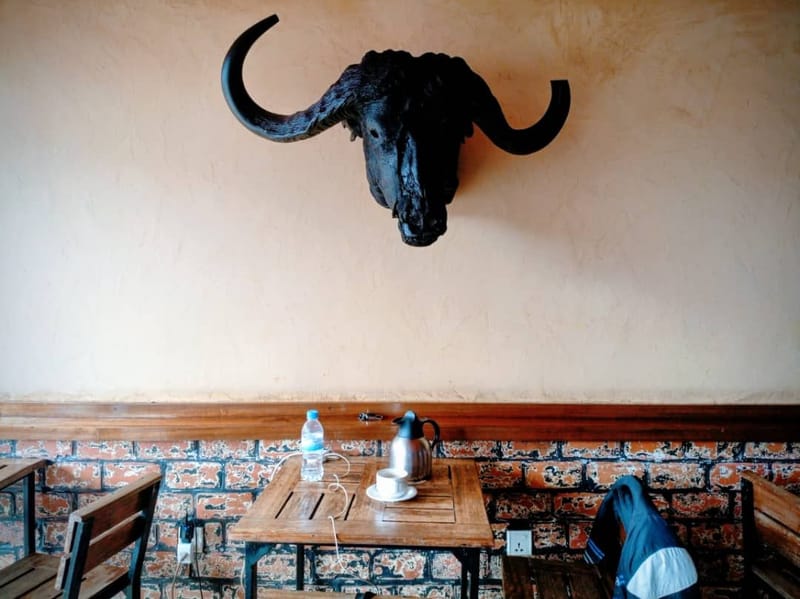 Kicking Off the Week at Torino Bar & Restaurant