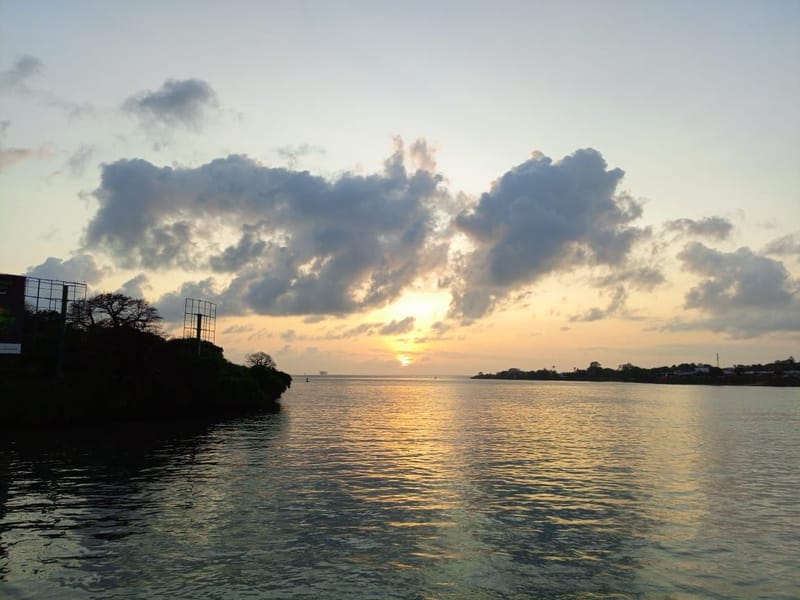 Mombasa to Tanga: Tracing the Soul of the Swahili Coast