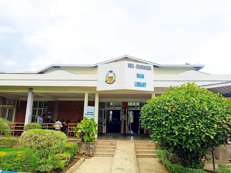 Inside the Library: Where Pages Turn and Minds Travel