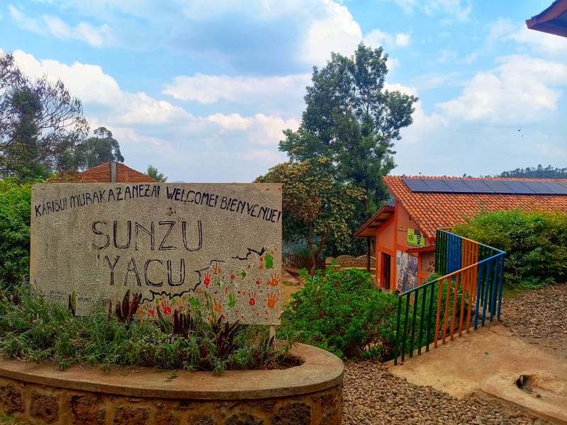 Stumbling Upon a Library in a Remote Village