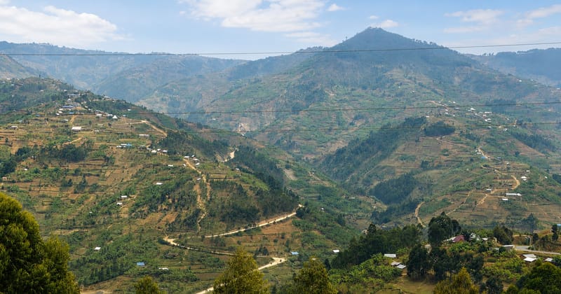 An Unexpected Detour in Ngororero