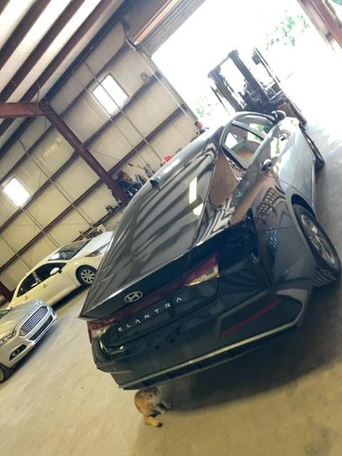48853386
