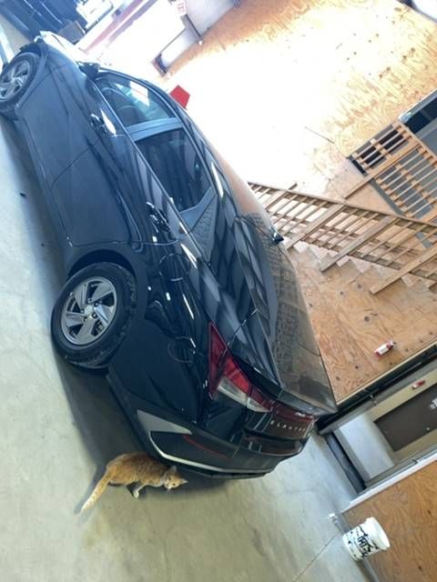 48853386