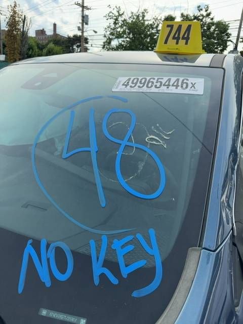 49965446