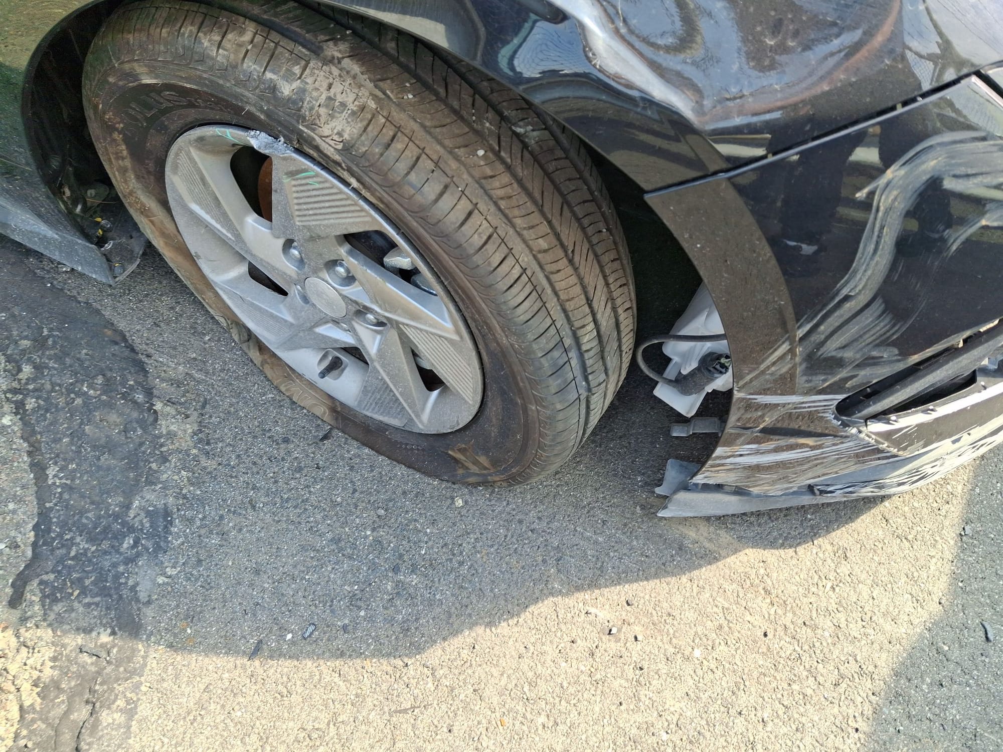 44945418