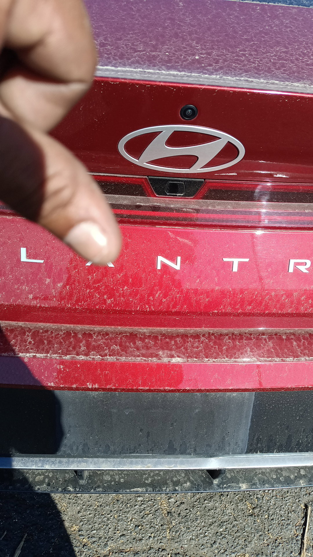 44922973