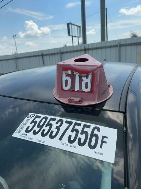 59537556