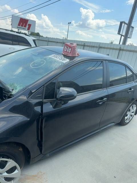 59537556