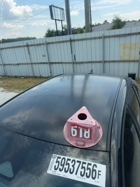 59537556