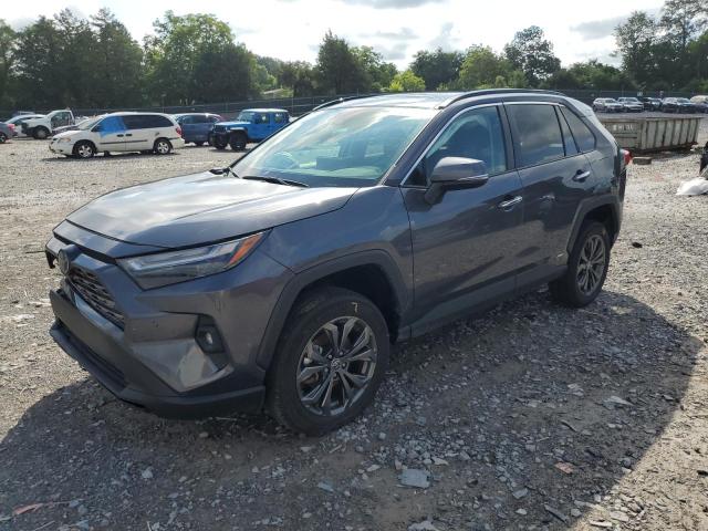2024 TOYOTA RAV4 LIMITED