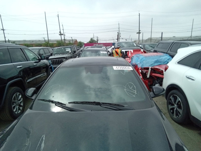 47206834