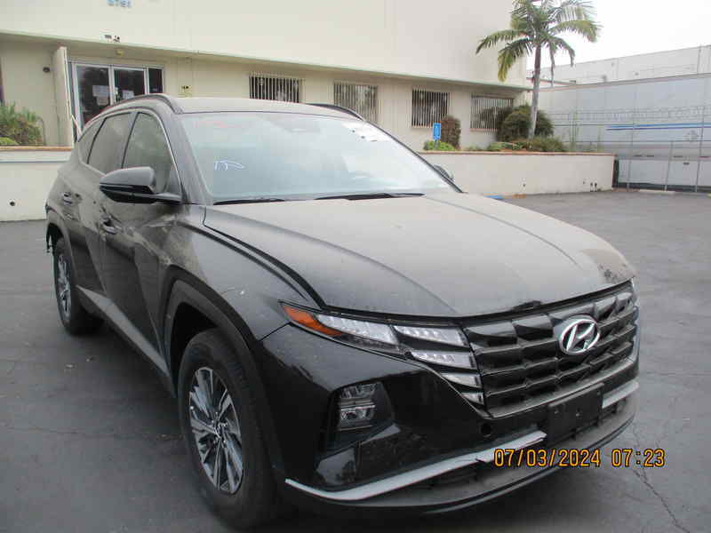 38917504