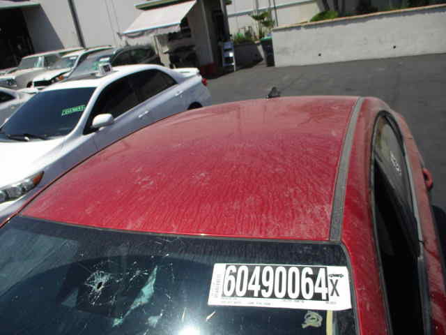 60490064