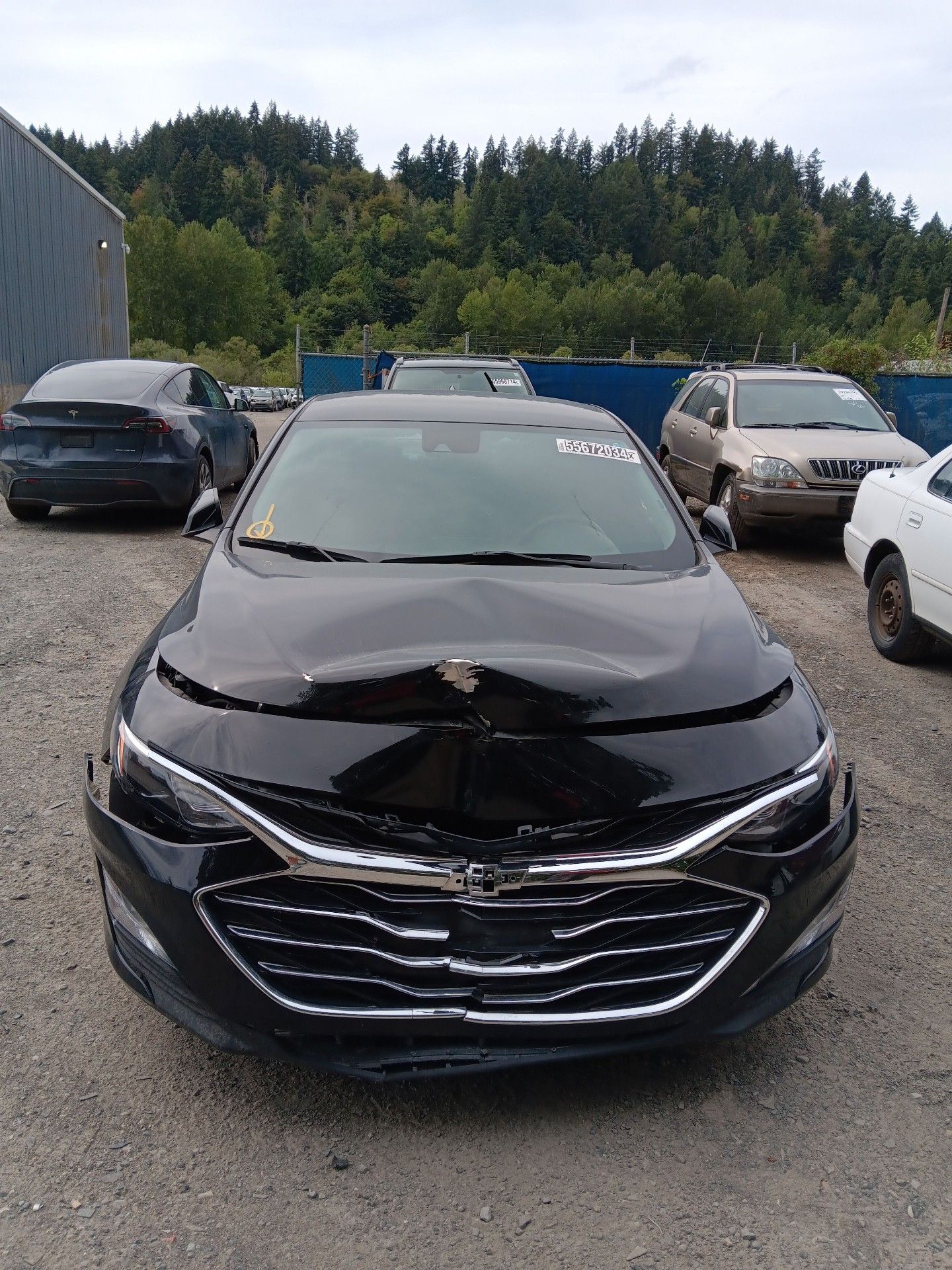 Chevrolet Malibu Lt 2023 Black 1.5L 4