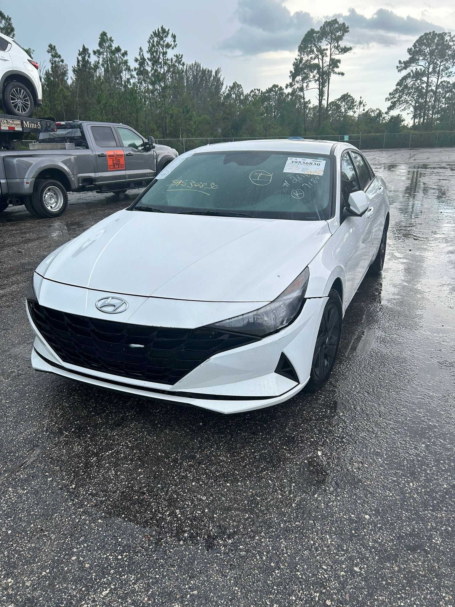 39536830