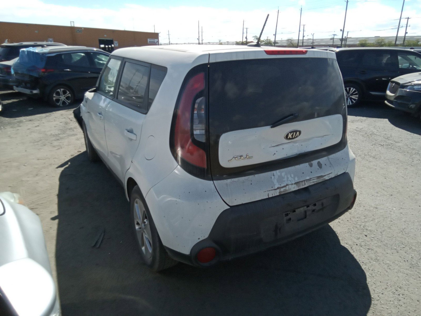 66200864