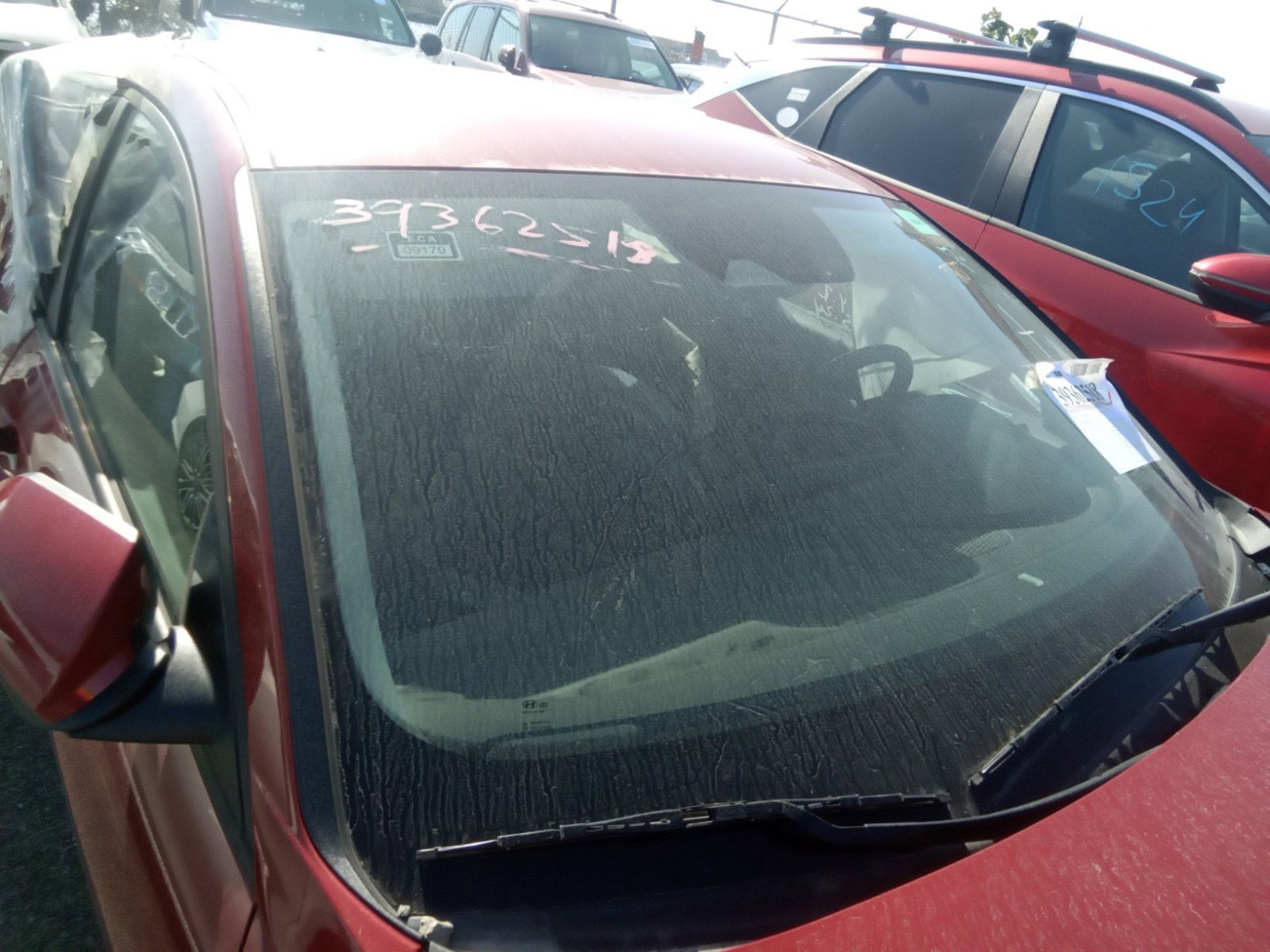 39362518