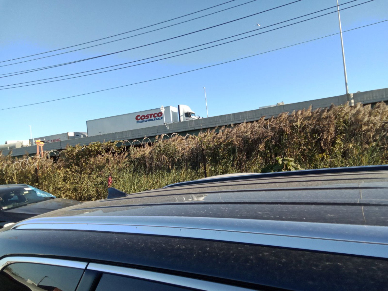 71762164