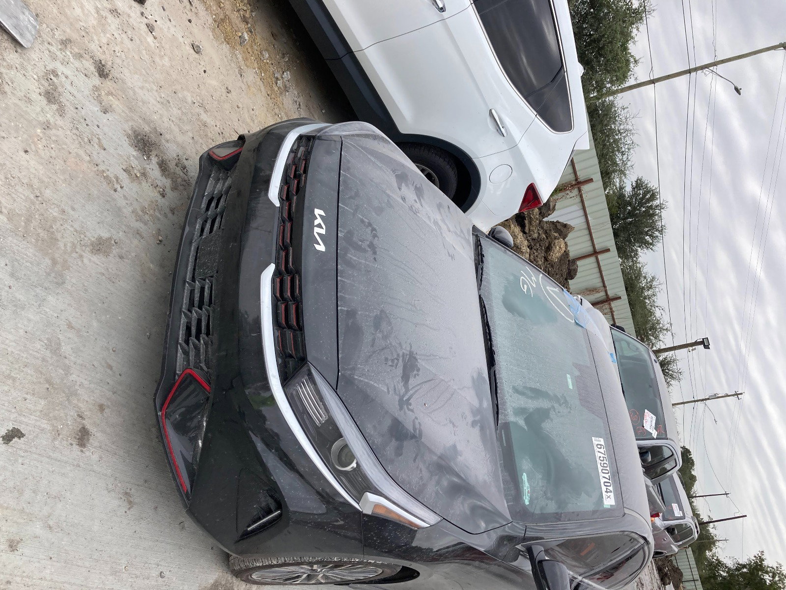 67590704